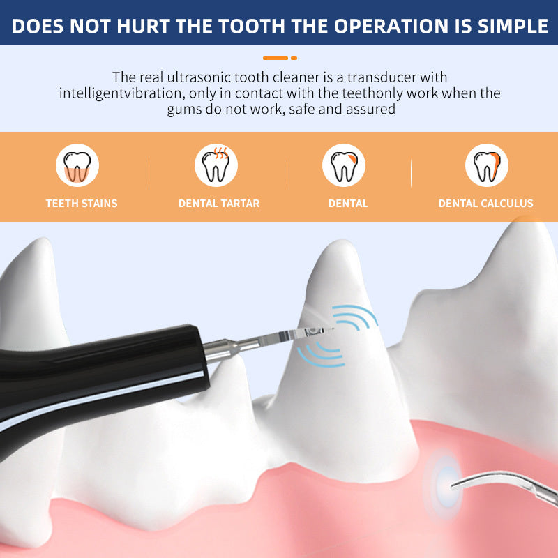 Ultrasonic Pet Teeth Cleaning And Cleaning Device