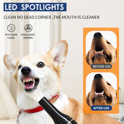 Ultrasonic Pet Teeth Cleaning And Cleaning Device