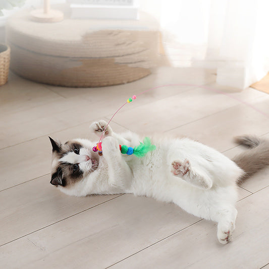 Fashionable New Cat Toys For Home Use